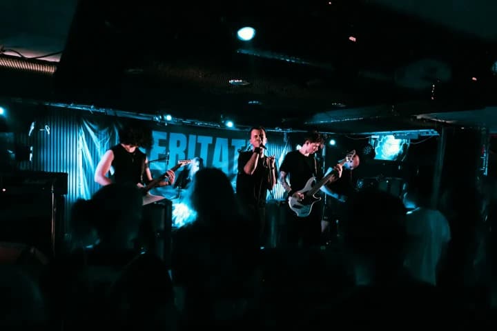 Live photo of Veritate
