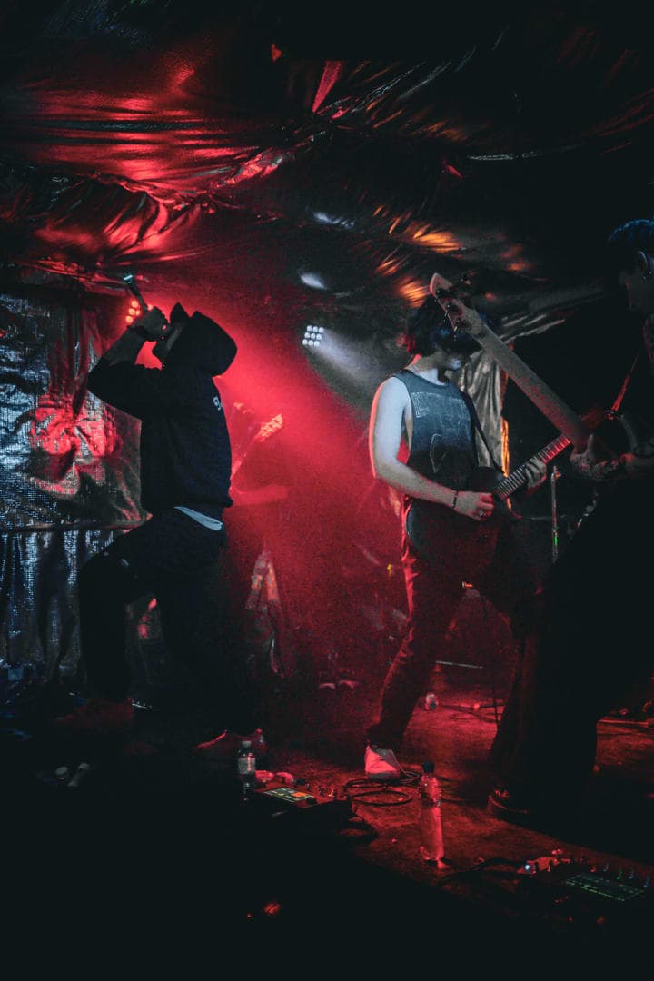 Live photo of Veritate