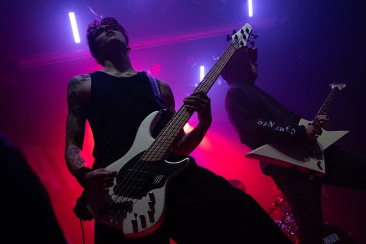 Live photo of Veritate