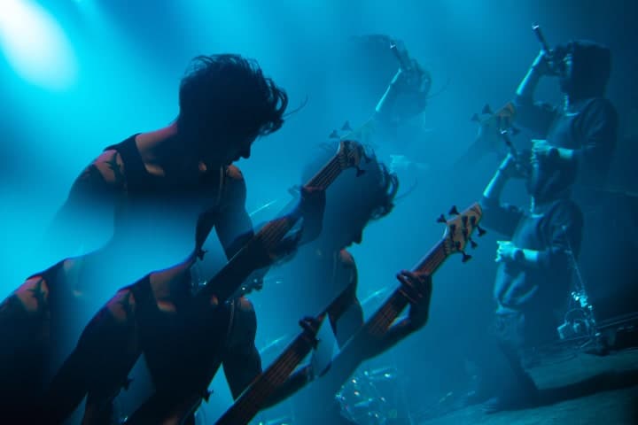 Live photo of Veritate