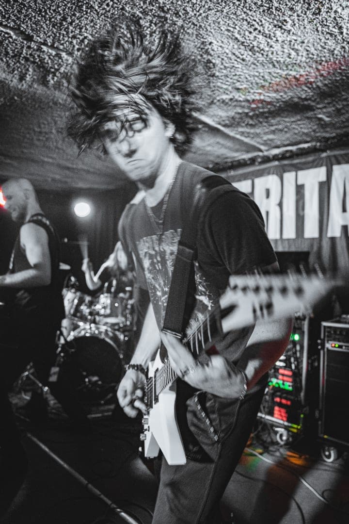 Live photo of Veritate